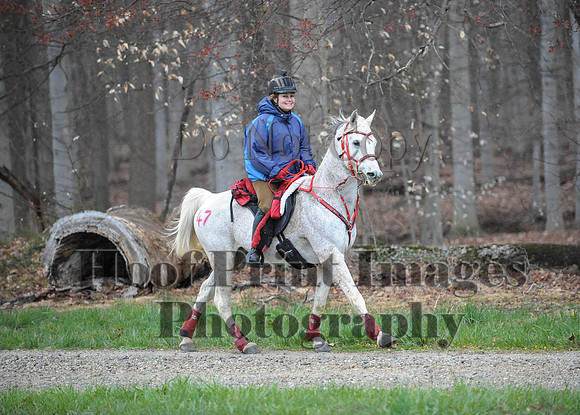 Foxcatcher(4-9-16)0147