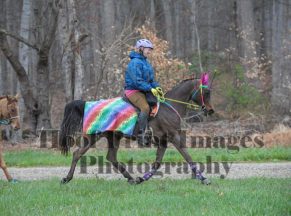 Foxcatcher(4-9-16)0081