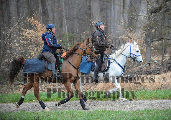 Foxcatcher(4-9-16)0168