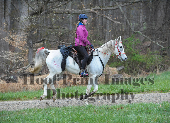 Foxcatcher(4-9-16)0131