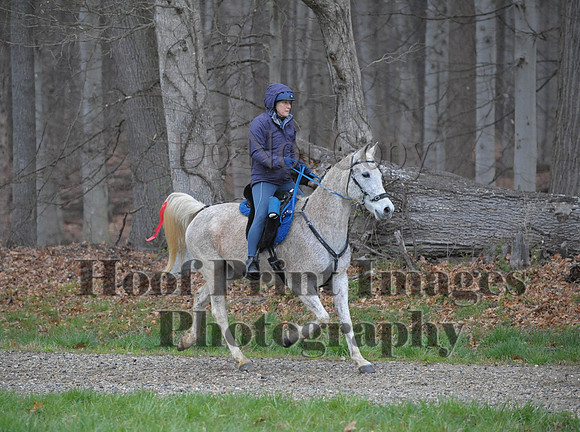 Foxcatcher(4-9-16)0455
