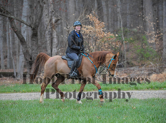 Foxcatcher(4-9-16)0073