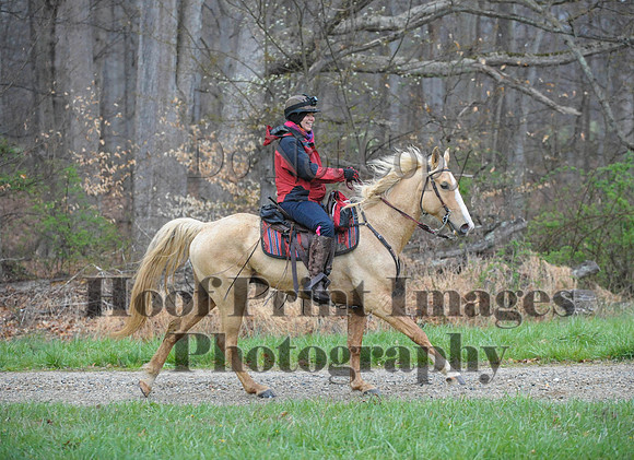 Foxcatcher(4-9-16)0291