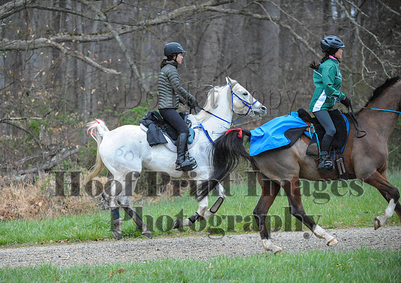 Foxcatcher(4-9-16)0130