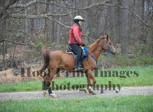 Foxcatcher(4-9-16)0232