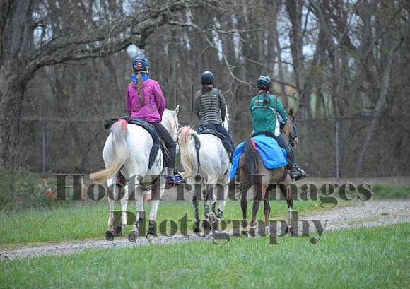 Foxcatcher(4-9-16)0138