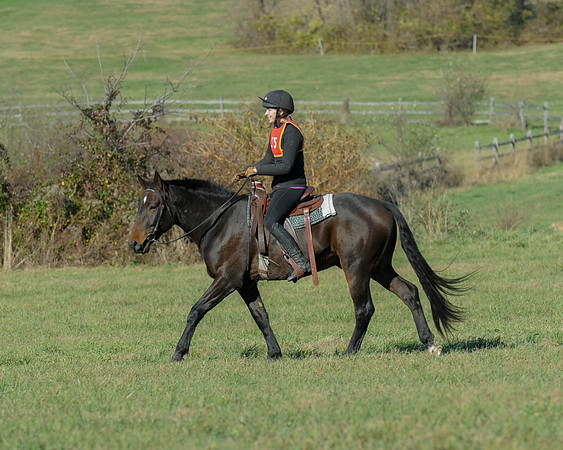 BHPC(11-15-15)0596