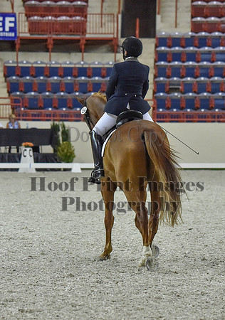 CWdressageI(8-20-16)0777