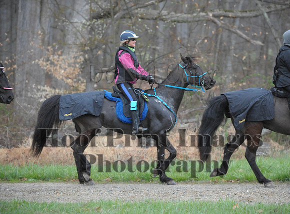 Foxcatcher(4-9-16)0372
