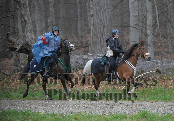 Foxcatcher(4-9-16)0507