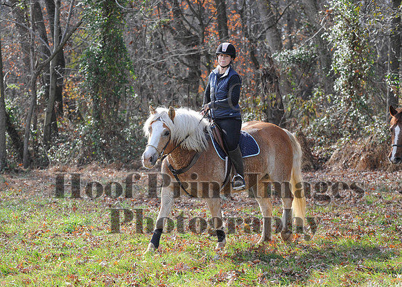 AndrewsBr(11-9-14)0563