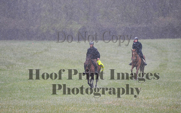Foxcatcher(4-9-16)0915
