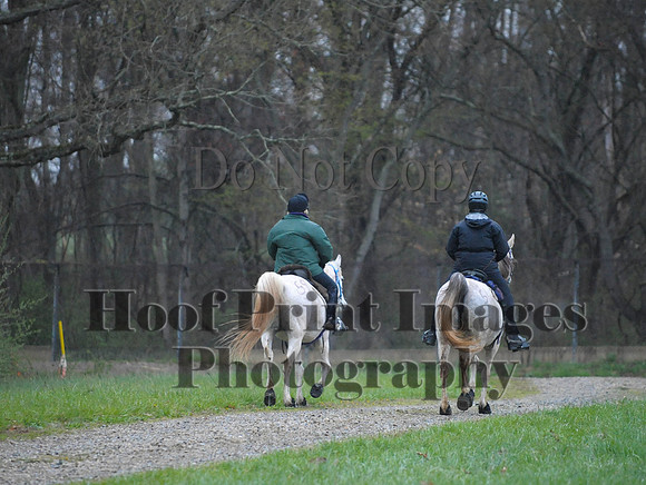 Foxcatcher(4-9-16)0500