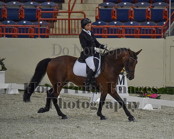CWdressageII(8-21-16)0489