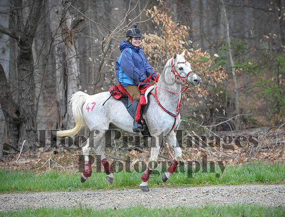 Foxcatcher(4-9-16)0150