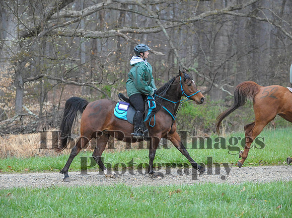 Foxcatcher(4-9-16)0222