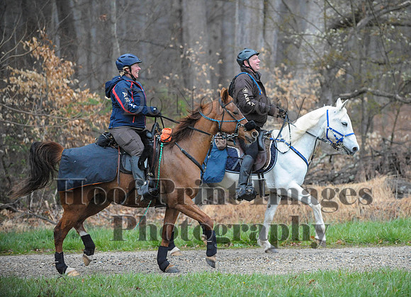 Foxcatcher(4-9-16)0169