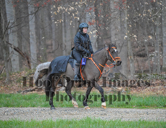 Foxcatcher(4-9-16)0276