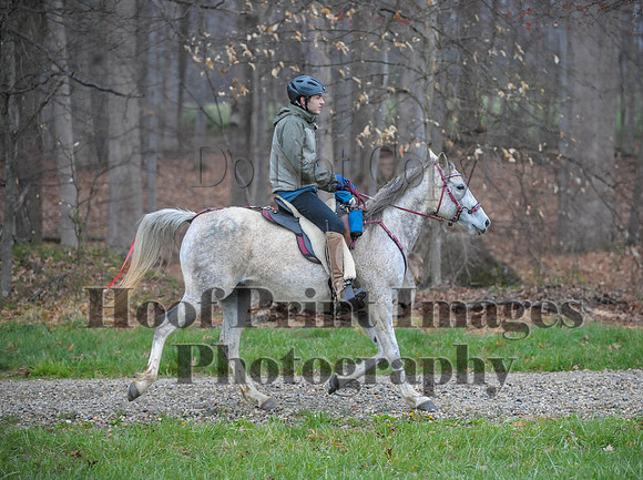 Foxcatcher(4-9-16)0466