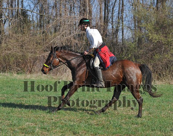 Foxcatcher(4-12-14)0576