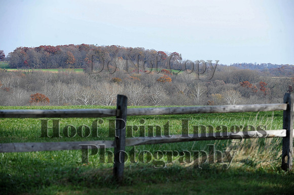 AndrewsBr(11-9-14)0459