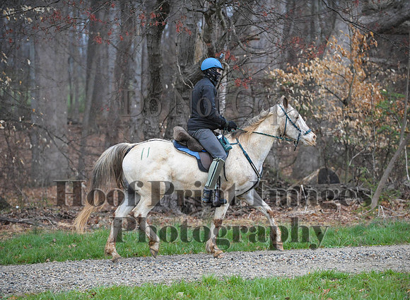 Foxcatcher(4-9-16)0448