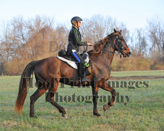 Foxcatcher(4-12-14)0203