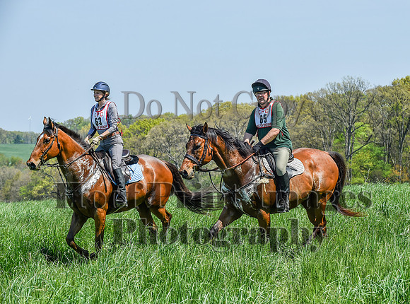 CheshireSpringPC1(4-28-24)0383