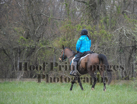 Foxcatcher(4-9-16)0541