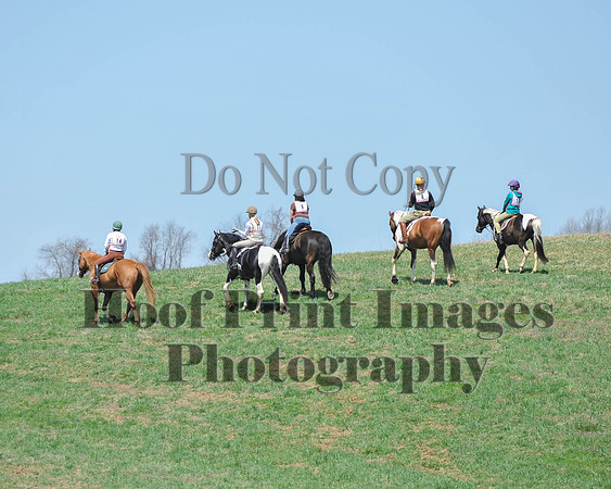 CPC(4-12-14)0194