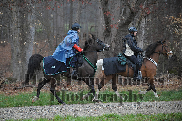 Foxcatcher(4-9-16)0515