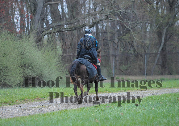 Foxcatcher(4-9-16)0452