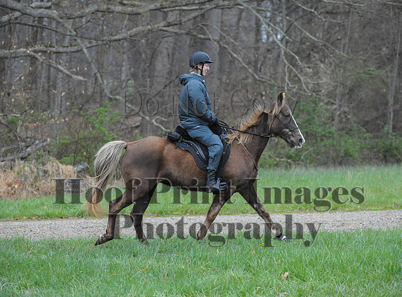Foxcatcher(4-9-16)0097
