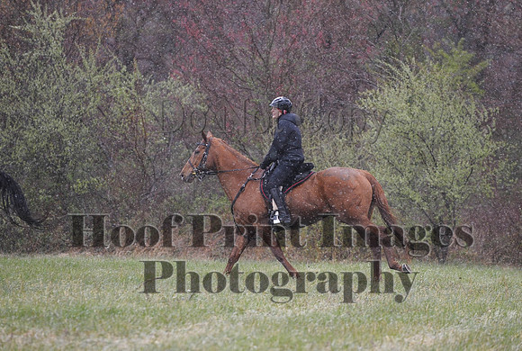 Foxcatcher(4-9-16)0926