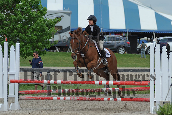 BRSa(5-17-14)0.8mJCl0073