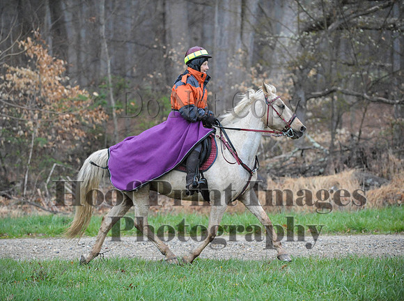 Foxcatcher(4-9-16)0197