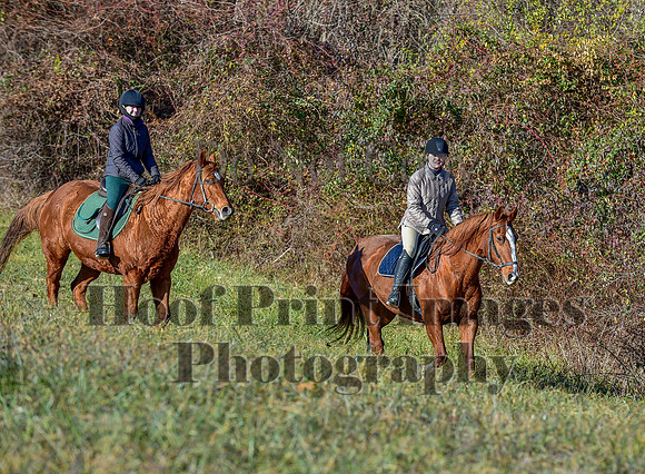 FairHillFallPC(11-30-24)0126