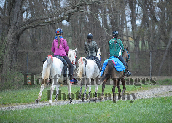 Foxcatcher(4-9-16)0137
