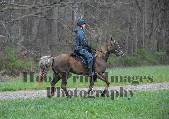 Foxcatcher(4-9-16)0099