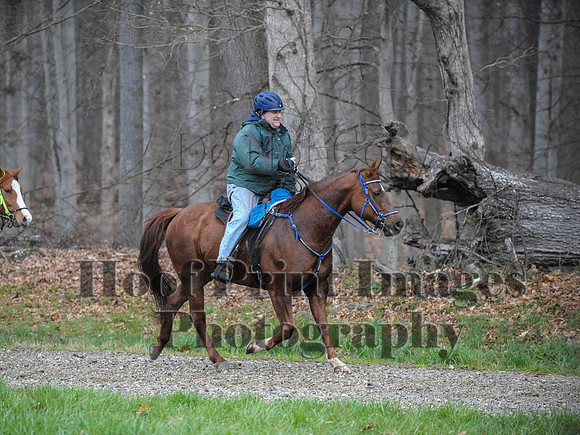 Foxcatcher(4-9-16)0416