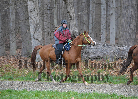 Foxcatcher(4-9-16)0421
