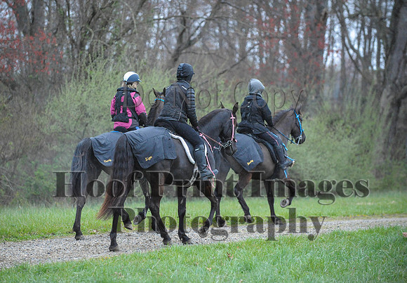 Foxcatcher(4-9-16)0378