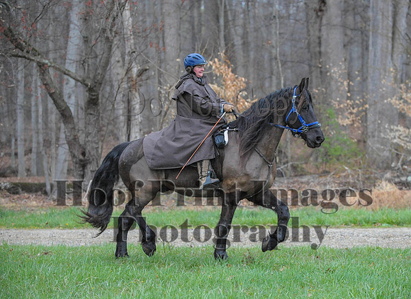 Foxcatcher(4-9-16)0324