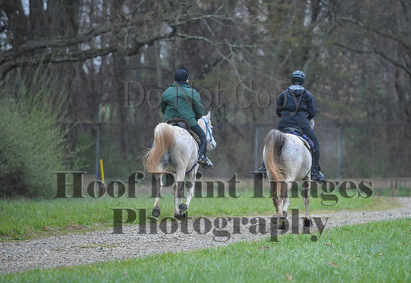 Foxcatcher(4-9-16)0497