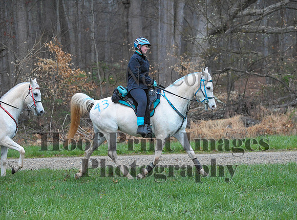 Foxcatcher(4-9-16)0100