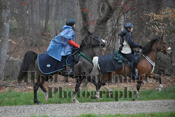 Foxcatcher(4-9-16)0516