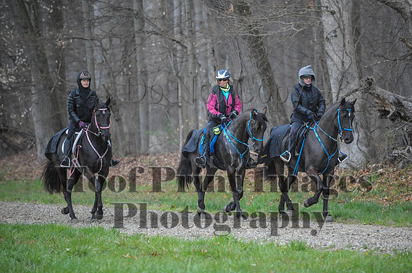Foxcatcher(4-9-16)0362