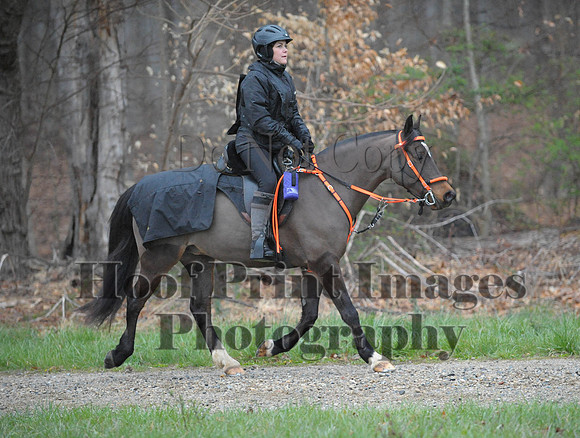 Foxcatcher(4-9-16)0279