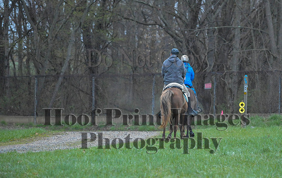 Foxcatcher(4-9-16)0331