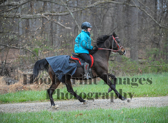 Foxcatcher(4-9-16)0271